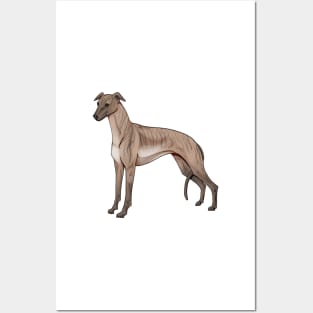 Brindle Whippet Posters and Art